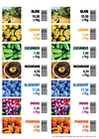 Floralabels Etiquetas de borde de estanteria 105 x 38 mm, 14 por hoja OKIMED30