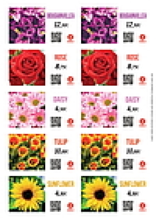 Floralabels Etiqueta autoadhesiva 97,5 x 57 mm, 10 por hoja OKIMED31