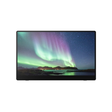 RICOH Monitor portatil 150 15,6