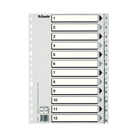 ESSELTE ESSELTE indice numerico 1-12 Esselte multitaladro PP folio gris
