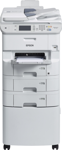 EPSON C11CD49301BZ 